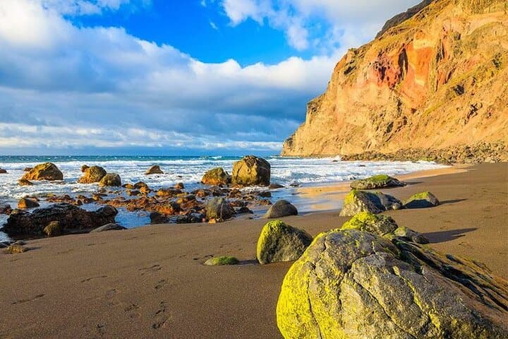 Full-Day La Gomera Guided Tour from Tenerife: Garajonay, Roque de Agando & Agulo photo 6
