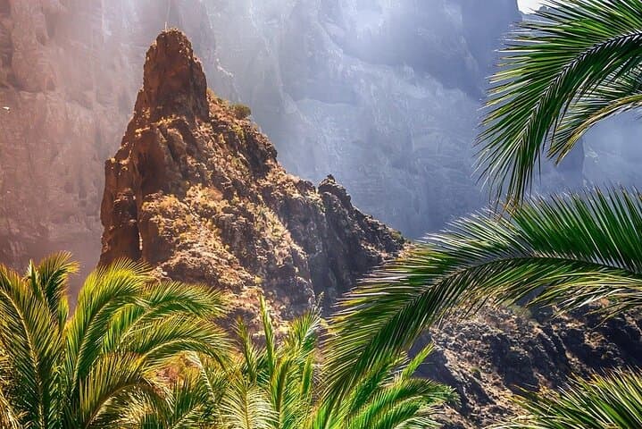 Explore Tenerife Your Way: 8-Hour Luxury Car & Private Driver Tour photo 6