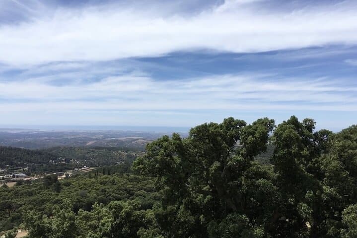 Half-Day Silves & Monchique Private Tour — Foia Peak, Caldas de Monchique & Silves Castle photo 3