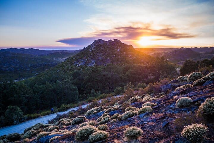 Half-Day Silves & Monchique Private Tour — Foia Peak, Caldas de Monchique & Silves Castle photo 6