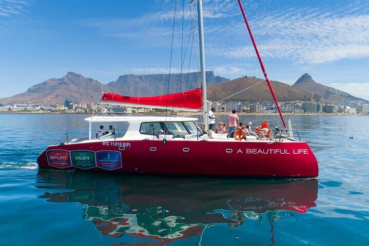 Cape Town 1-Hour Catamaran Cruise from V&A Waterfront — Table Bay & Robben Island Views