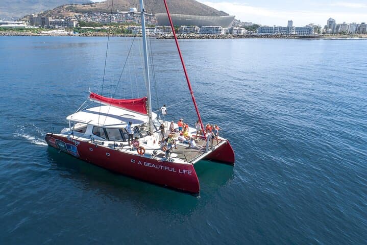 Cape Town 1-Hour Catamaran Cruise from V&A Waterfront — Table Bay & Robben Island Views photo 2