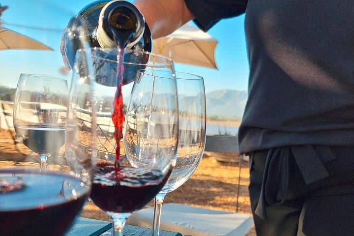 Franschhoek Full-Day Mystery Wine and Food Pairing Tour photo 4