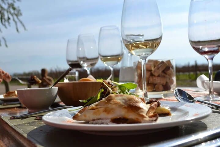 Luján de Cuyo Gourmet Wine Tour: Small Wineries & Malbec Tastings in Mendoza photo 1