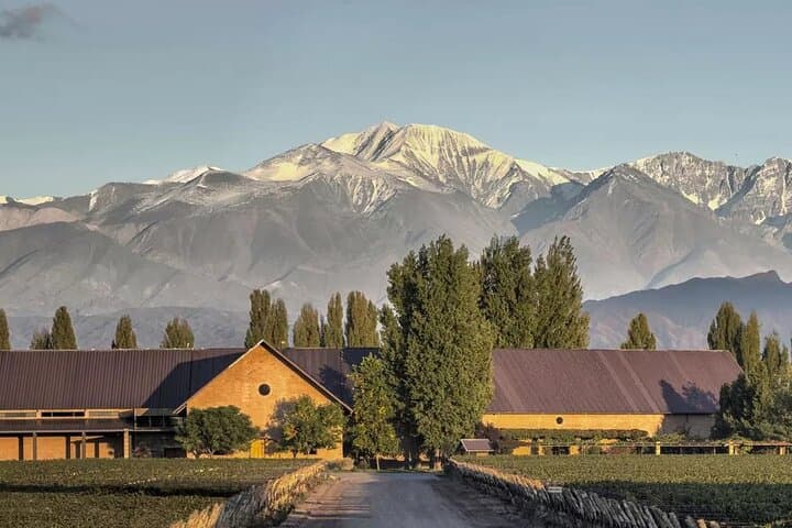 Luján de Cuyo Gourmet Wine Tour: Small Wineries & Malbec Tastings in Mendoza photo 2