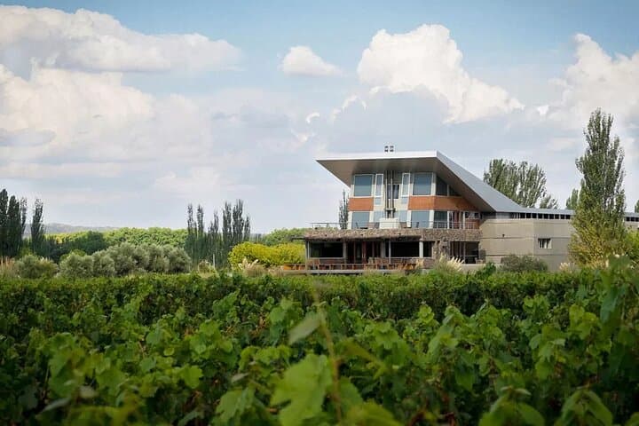 Luján de Cuyo Gourmet Wine Tour: Small Wineries & Malbec Tastings in Mendoza photo 3