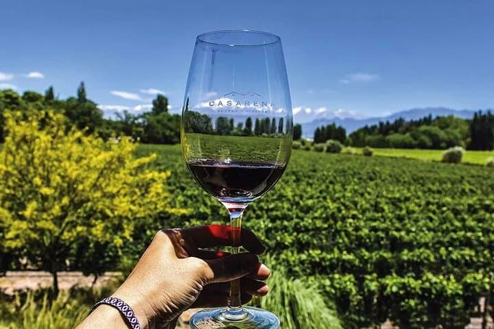 Luján de Cuyo Gourmet Wine Tour: Small Wineries & Malbec Tastings in Mendoza photo 4