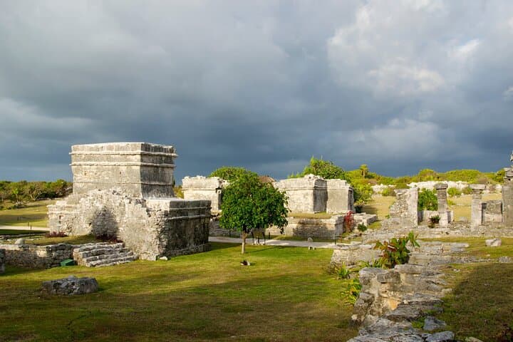 Tulum Ruins, Cenotes & Madre Naturaleza: Complete Day Tour Guide photo 4