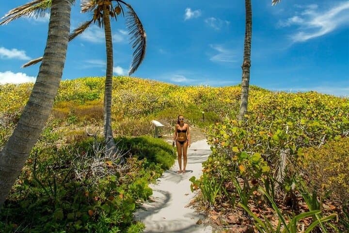 Isla Contoy Day Trip from Cancun: Snorkel Pristine Reefs, Birdlife & Isla Mujeres