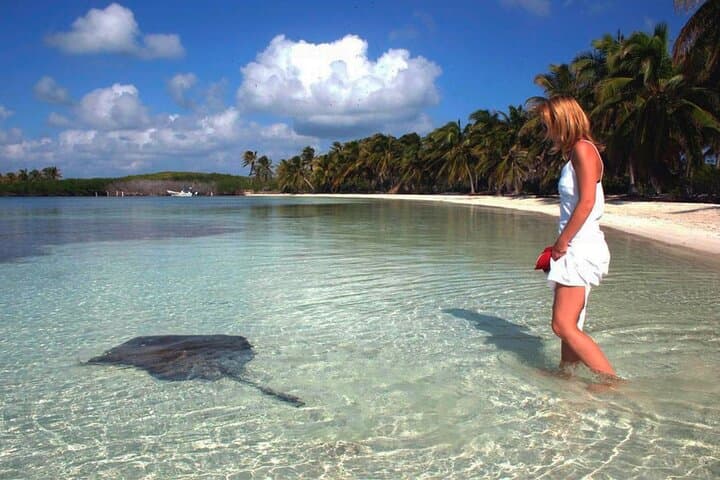 Isla Contoy Day Trip from Cancun & Riviera Maya — Snorkel Ixlaché Reef & Isla Mujeres Stop photo 6