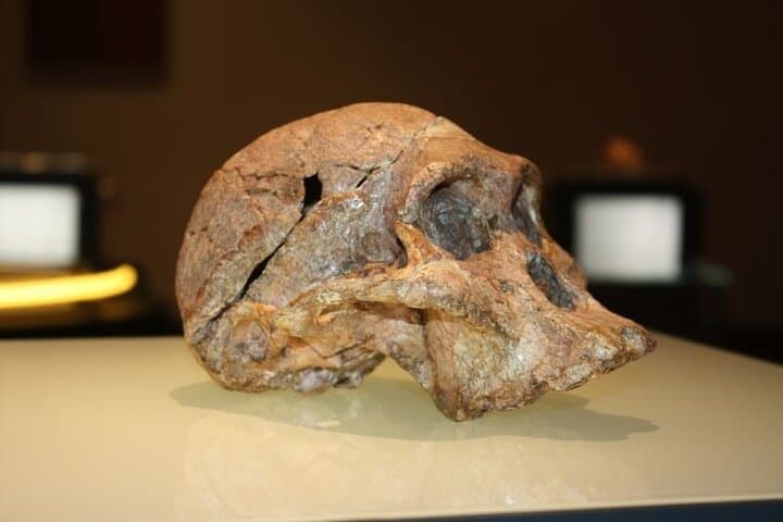 Cradle of Humankind: Sterkfontein Caves & Maropeng Tour