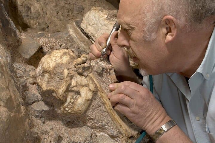 Cradle of Humankind: Sterkfontein Caves & Maropeng Tour photo 2