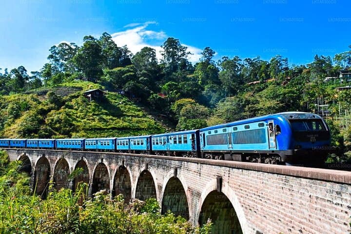 2-Day Udawalawe Safari & Ella Scenic Train: Elephant Encounters and Little Adam's Peak photo 3