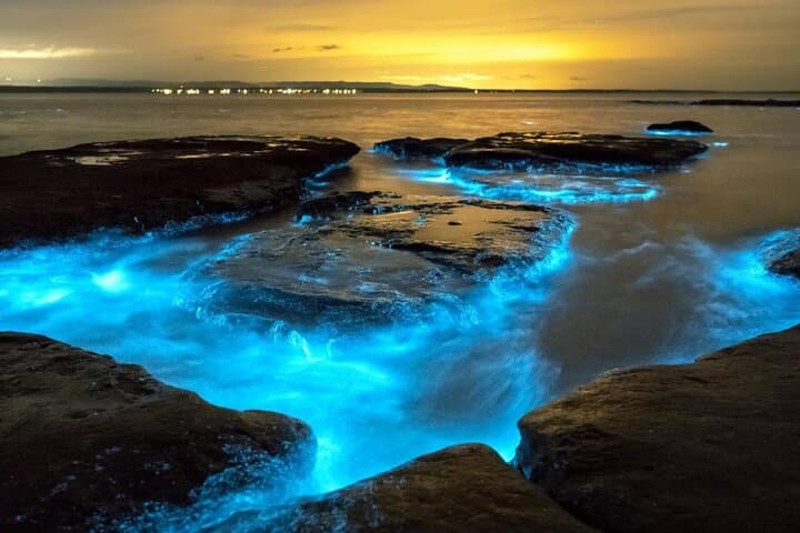 Holbox Bioluminescence Night Kayak & Stargazing Eco Tour photo 4