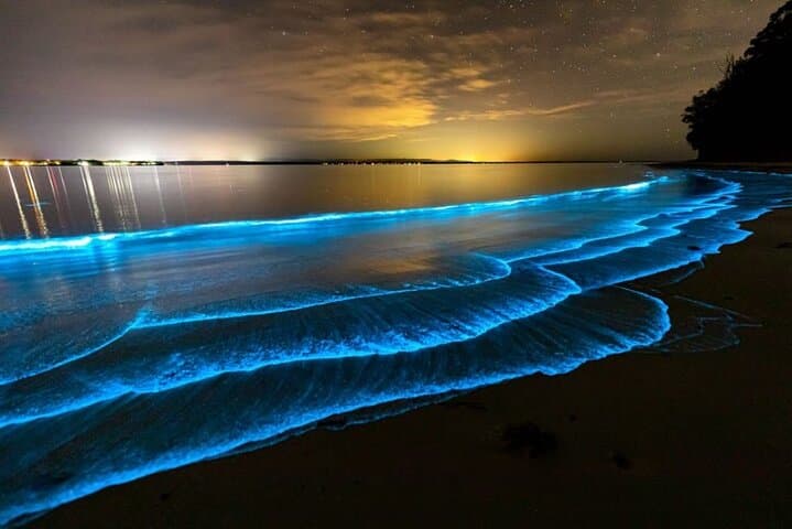 Holbox Bioluminescence Night Kayak & Stargazing Eco Tour photo 5