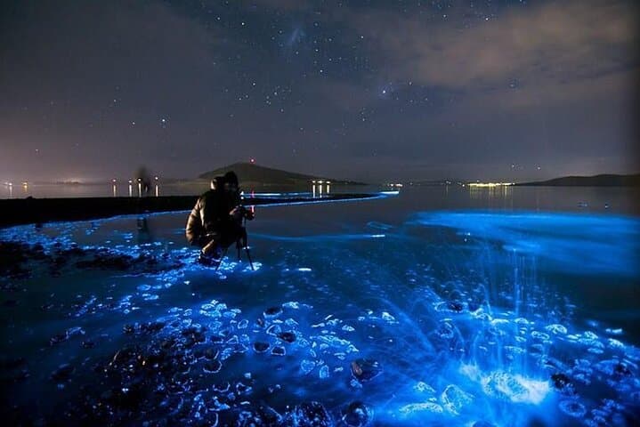 Holbox Bioluminescence Night Kayak & Stargazing Eco Tour photo 6