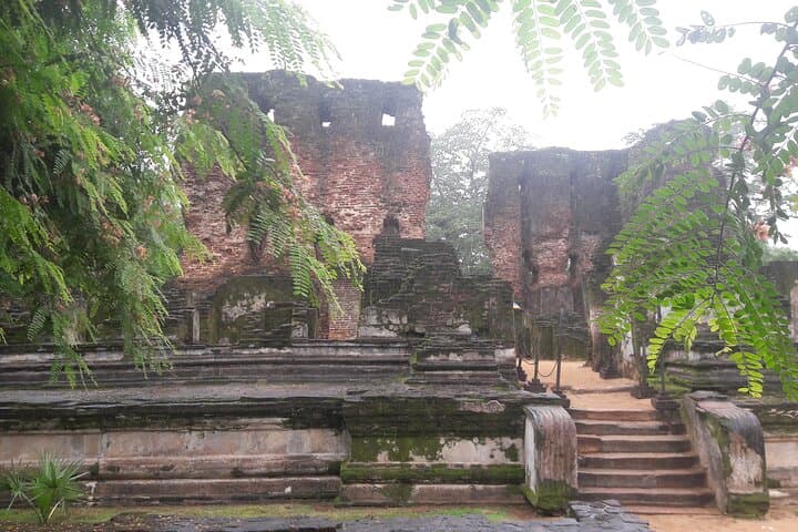 3-Day Cultural Triangle Tour from Colombo: Sigiriya, Dambulla, Polonnaruwa & Kandy