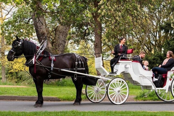 Central Park Private Horse Carriage Ride: Historic NYC Tour (Since 1970) photo 3