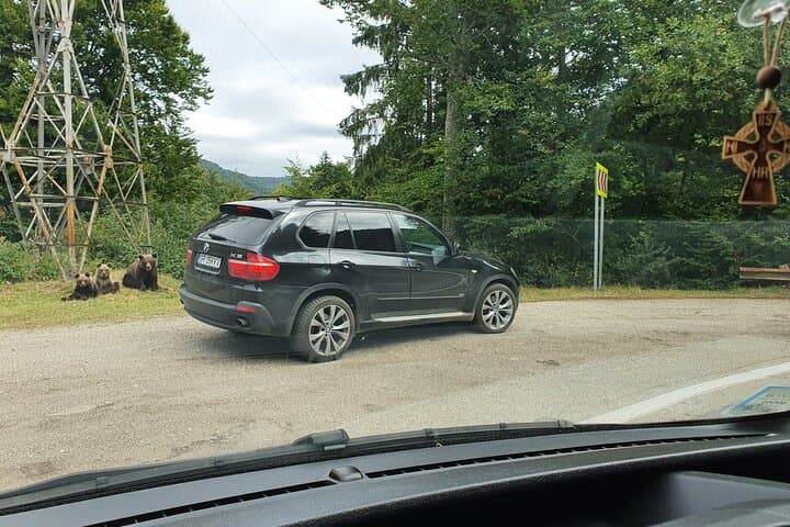 3-Day Private Romania Road Trip: Transfăgărășan, Transalpina & Medieval Castles photo 3