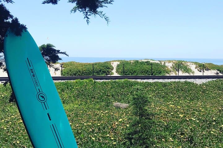 Learn to Surf: Private North San Diego Lesson in Carlsbad photo 4