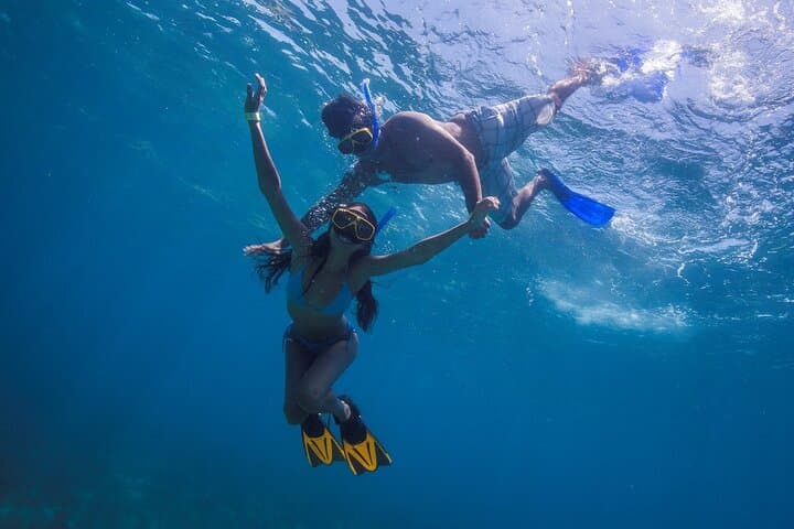 Snorkel with Whale Sharks off Riviera Maya — Day Trip from Cancún photo 5