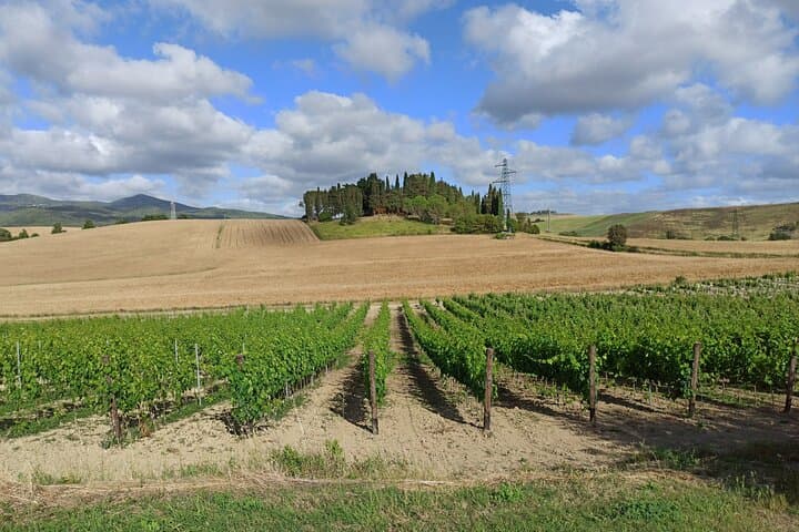 Private Chianti Afternoon: Two-Winery Tour Along Via Chiantigiana photo 4
