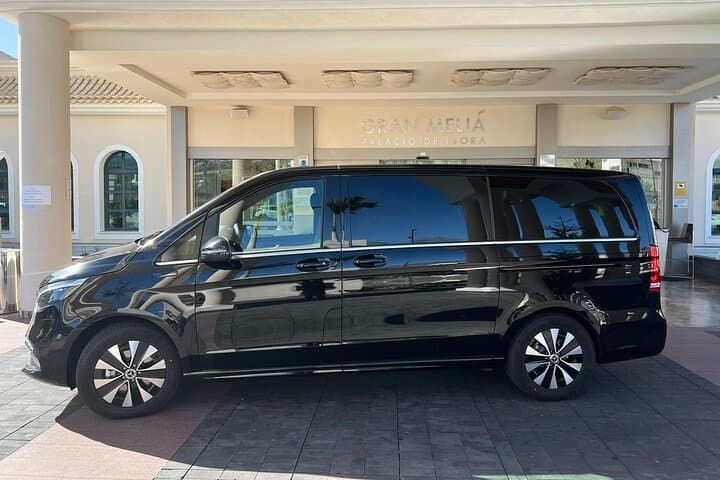 Explore Tenerife Your Way: 8-Hour Luxury Car & Private Driver Tour