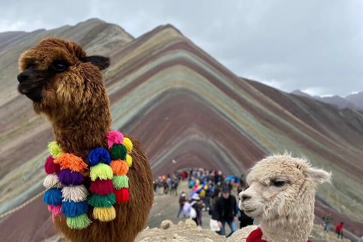 ATV to Vinicunca (Montaña 7 Colores): Full-Day Cusco Quad Adventure photo 6
