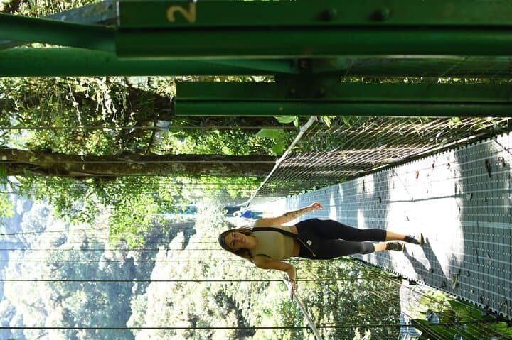 One Day in Monteverde: Cloud Forest Hike, Hanging Bridges & Night Walk photo 6