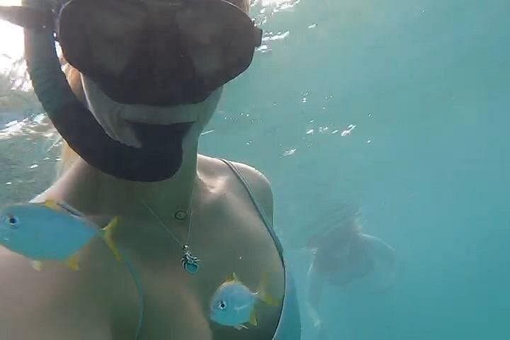 Caribe Hilton Guided Snorkel: Reef Wildlife Walk-In from San Juan Beach photo 1