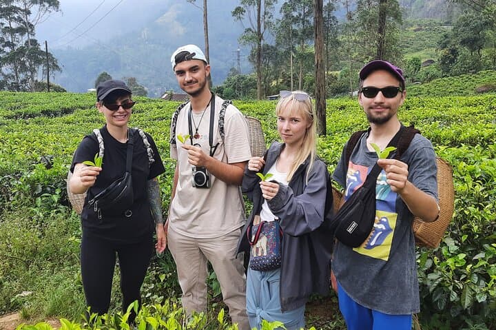 Day Trip to Nuwara Eliya from Kandy: Tea Country, Ramboda Falls & Gregory Lake photo 4