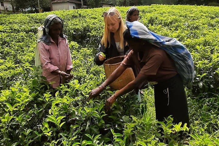 Day Trip to Nuwara Eliya from Kandy: Tea Country, Ramboda Falls & Gregory Lake photo 3