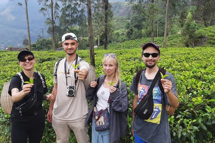 Day Trip to Nuwara Eliya from Kandy: Tea Country, Ramboda Falls & Gregory Lake photo 6