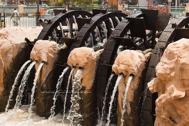 Day Tour to El Fayoum Oasis & Wadi Al-Hitan (Valley of the Whales) from Cairo