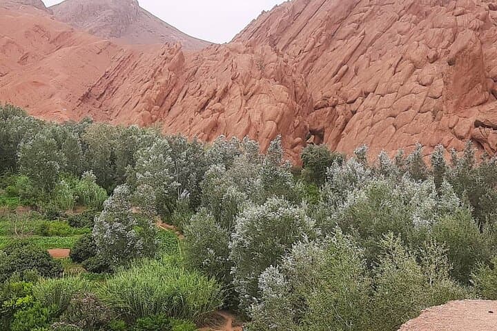 Private 3-Day Fes to Marrakech Sahara Adventure via Merzouga photo 2