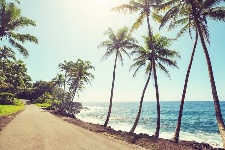 Big Island Private Photographer — Professional Photo Shoot on the Island of Hawaii