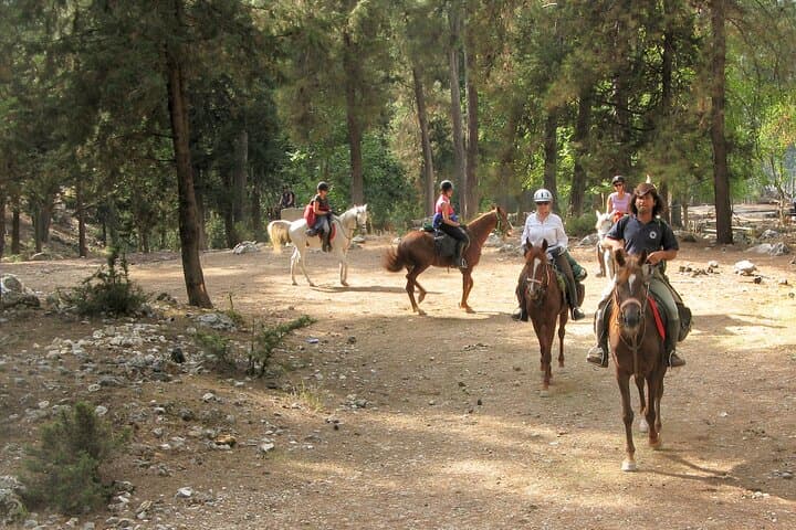 Bodrum Horse Riding Tour with Hotel Pickup — Countryside Ride on Gentle Horses photo 4