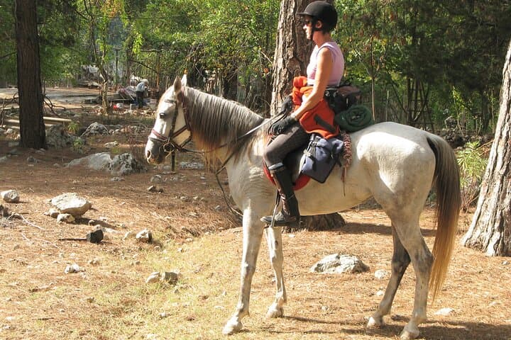 Bodrum Horse Riding Tour with Hotel Pickup — Countryside Ride on Gentle Horses photo 5
