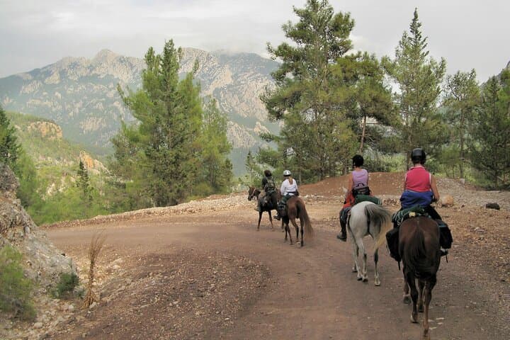 Bodrum Horse Riding Tour with Hotel Pickup — Countryside Ride on Gentle Horses photo 6