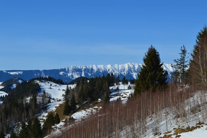 5-Day Private Tour: Bucharest & Transylvania Castles and Mountain Drive photo 4
