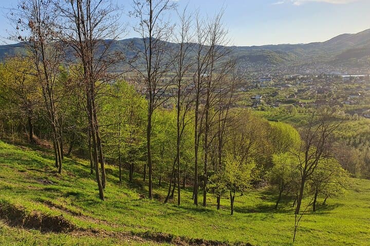5-Day Private Tour: Bucharest & Transylvania Castles and Mountain Drive photo 5