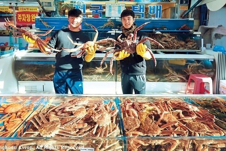 Full-Day Private Busan Tour: Culture, Coastline & Markets