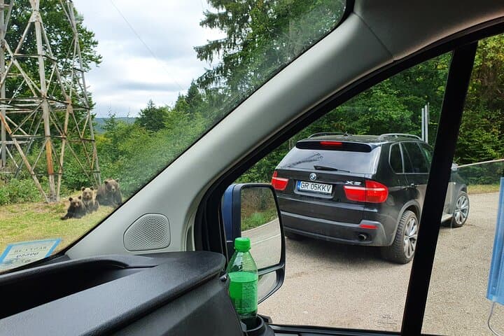 3-Day Private Romania Tour: Drive the Transfagarasan & Transalpina from Bucharest photo 6