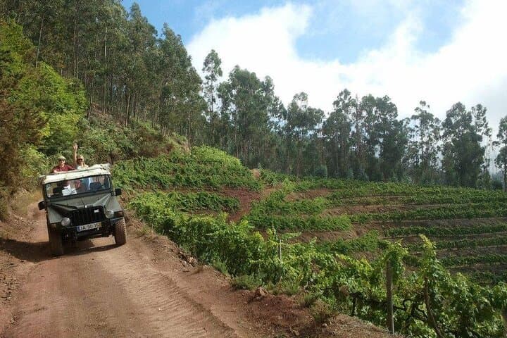 Madeira Half-Day 4x4 Safari: Poncha, Mountains, Vineyards & Cabo Girão