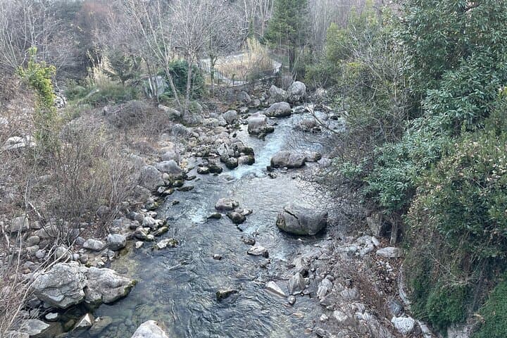 Half-Day Private Tour of Grasse: Fragonard, Confiserie Florian & Gorges du Loup photo 6