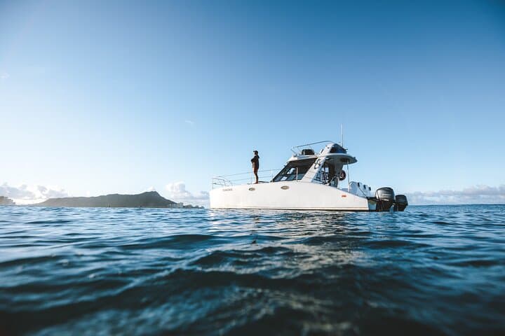 Private Whale Watching & Coastal Swimming Tour in Honolulu