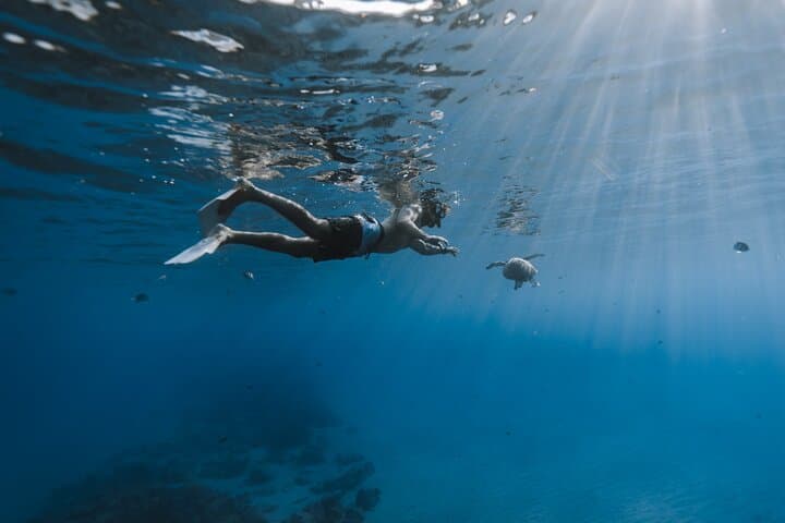 Private Whale Watching & Coastal Swimming Tour in Honolulu photo 3