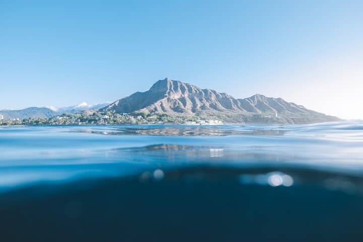 Private Whale Watching & Coastal Swimming Tour in Honolulu photo 5
