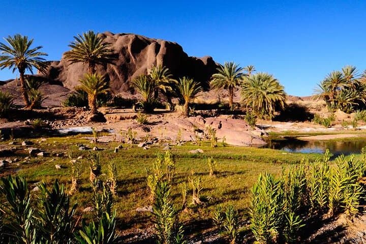 Imperial Cities to Sahara: 8–11 Day Morocco Desert & Fes Explorer photo 4