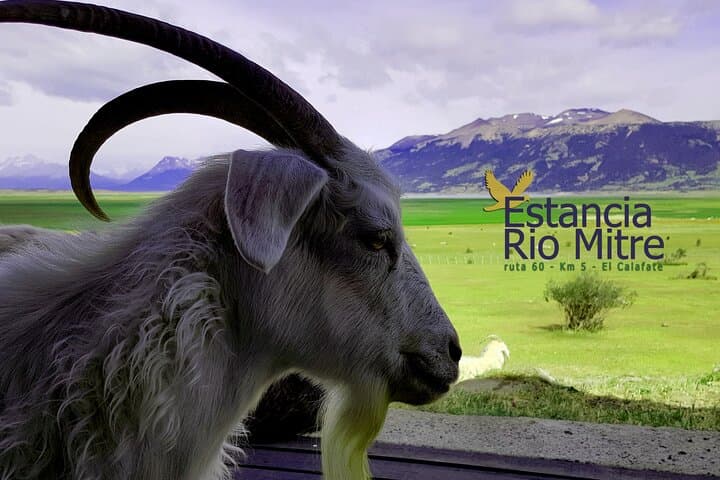 Sunset at Perito Moreno Glacier: Shared Tour from El Calafate photo 2